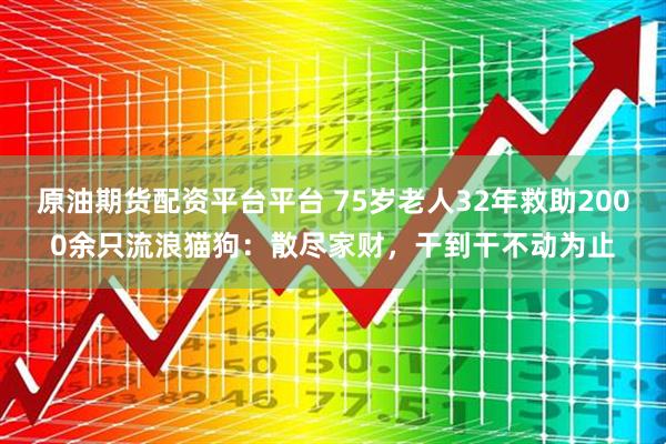 原油期货配资平台平台 75岁老人32年救助2000余只流浪猫狗：散尽家财，干到干不动为止